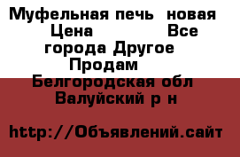 Муфельная печь (новая)  › Цена ­ 58 300 - Все города Другое » Продам   . Белгородская обл.,Валуйский р-н